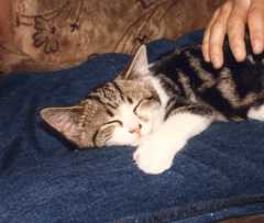 Holly (deceased) jpg