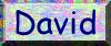 David's
                            Button