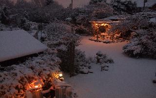 Snowy Garden 2010