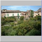 Orange Grove