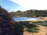 thm_BINIMEL-LA.jpg