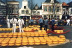 Alkmaar cheese market jpg
