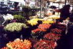 Flower stall jpg