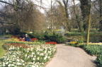 Keukenhof jpg
