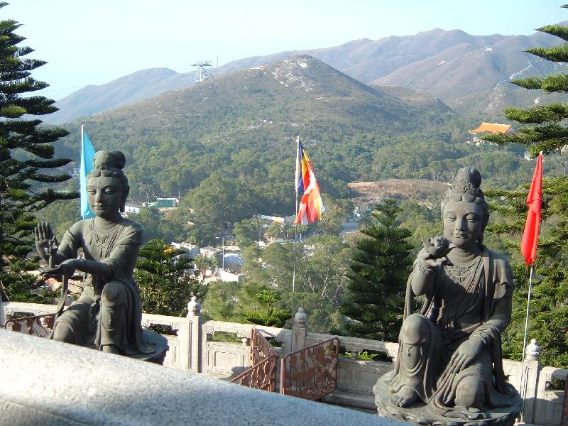 View