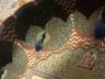thm_Q PEACOCK GATE BIG.jpg