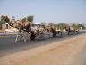 thm_Z2 CAMEL TRAIN BIG.jpg