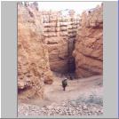 Navajo Trail1.jpg