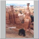 Navajo Trail4.jpg
