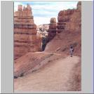 Navajo Trail5.jpg