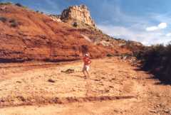 Wash at
                      Capitol reef jpg