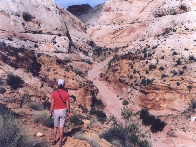 Capitol Gorge.jpg