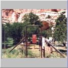 Peach Orchard1.jpg