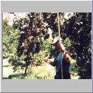 Peach Orchard2.jpg