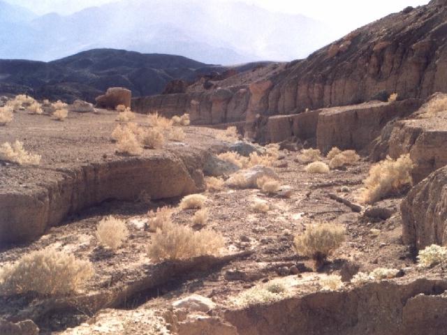Near Artist's Palette.jpg