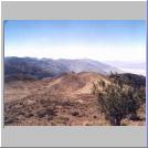 Looking South.jpg