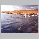 Lone Rock beach.jpg