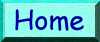 Home Button