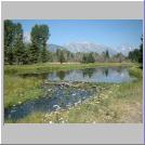 Beaver Pool.jpg