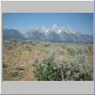 Tetons.jpg