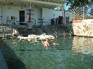 Saratoga hot spring