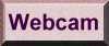 Webcam button
